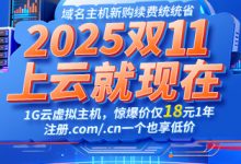 2025年雙十一購(gòu)買云服務(wù)器要多少錢-西部數(shù)碼知識(shí)庫(kù)