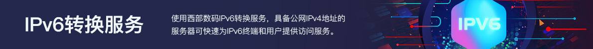 IPv6轉(zhuǎn)換服務(wù)
